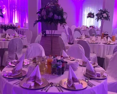 Sala weselna 2